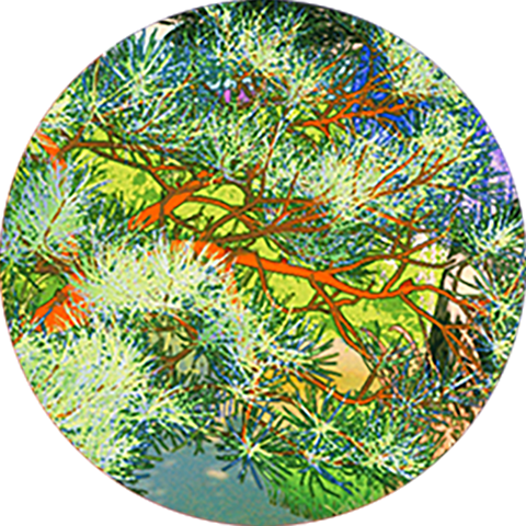 김안나 개인전 – 산수몽 山水夢